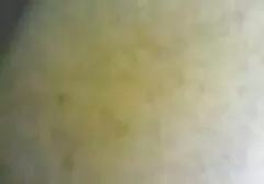 Una mujer xvideos follando en familia que tiene curiosidad por pasar por el casting primero